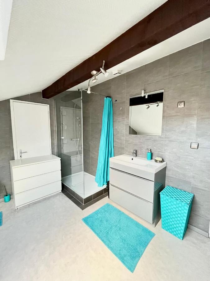 Pin'S - Magnifique Appartement Sarrebourg Dış mekan fotoğraf