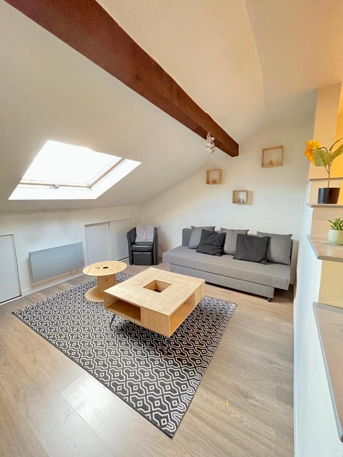 Pin'S - Magnifique Appartement Sarrebourg Dış mekan fotoğraf