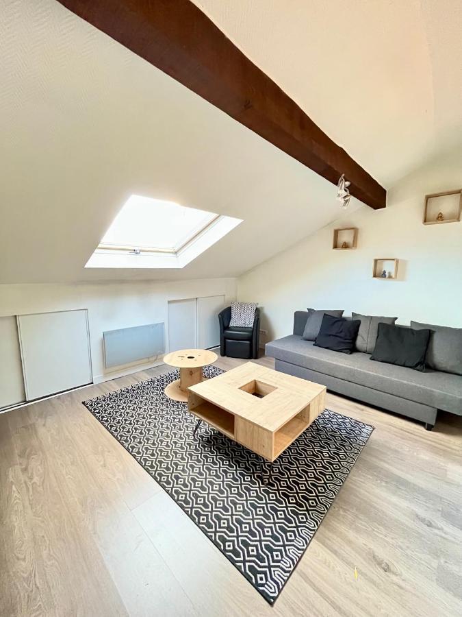 Pin'S - Magnifique Appartement Sarrebourg Dış mekan fotoğraf