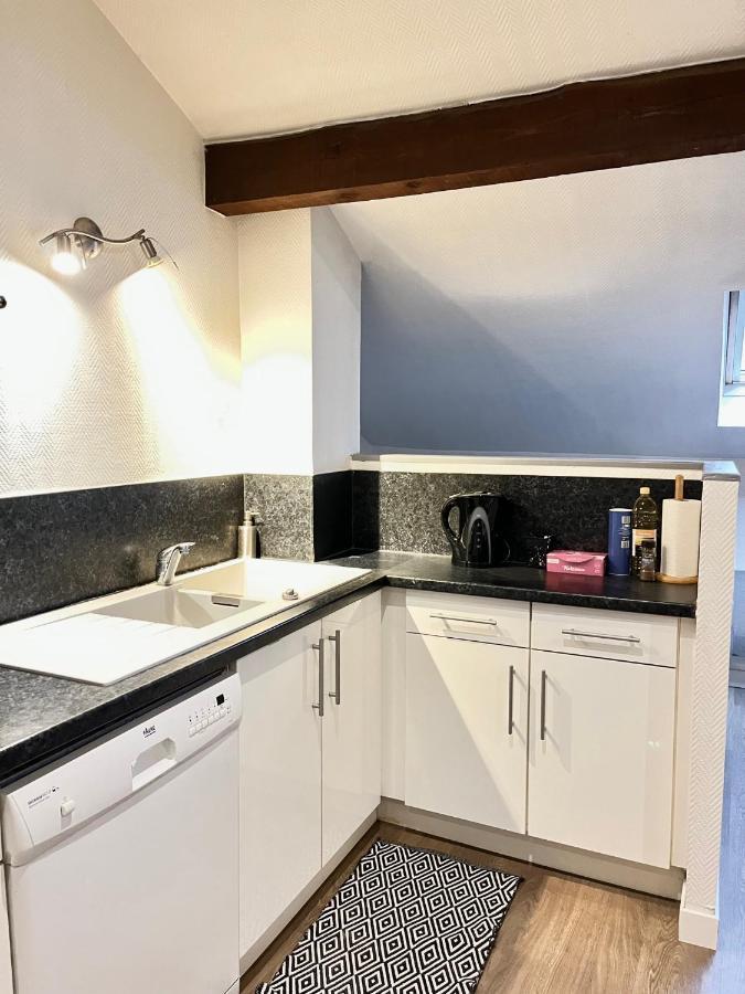 Pin'S - Magnifique Appartement Sarrebourg Dış mekan fotoğraf