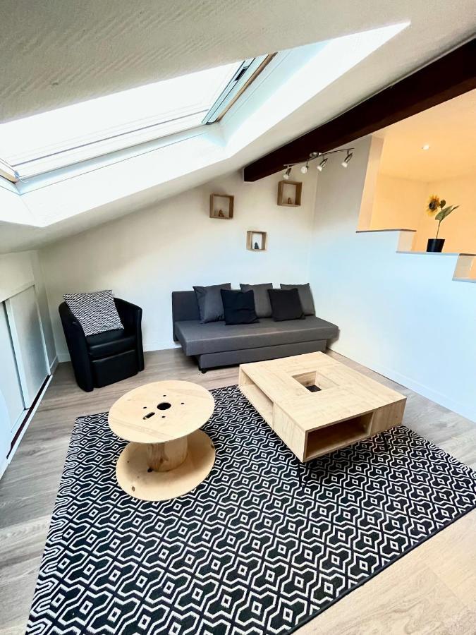 Pin'S - Magnifique Appartement Sarrebourg Dış mekan fotoğraf